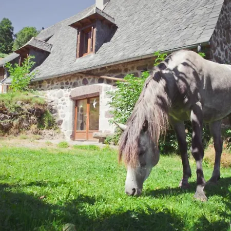 Maison De Montagne Avec Jardin, 3 Pres Super-lioran - Fr-1-742-79 Nyaraló Thiézac