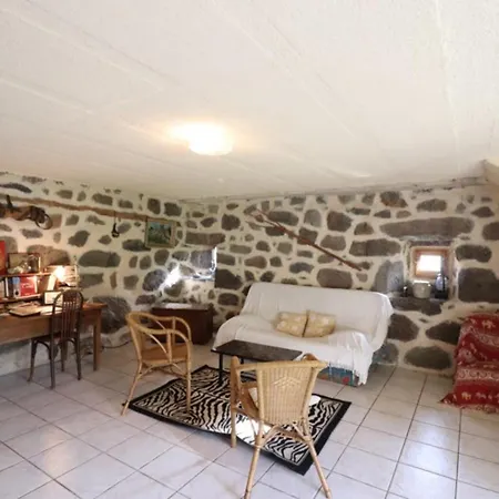 Maison De Montagne Avec Jardin, 3 Pres Super-lioran - Fr-1-742-79 Thiézac