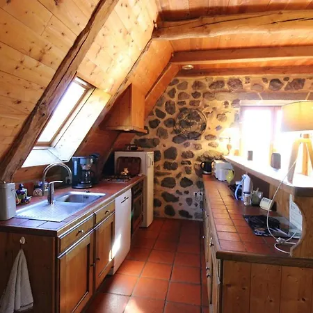 Maison De Montagne Avec Jardin, 3 Pres Super-lioran - Fr-1-742-79 Nyaraló